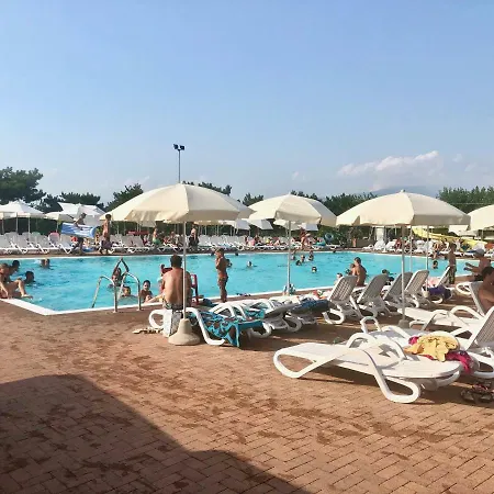 Rosa Cinderella Lazise