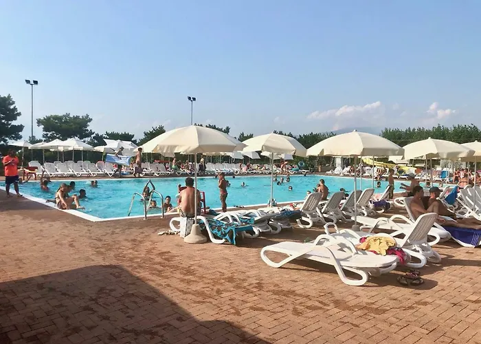 Rosa Cinderella Lazise