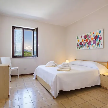 Rosa Cinderella لاتيزي