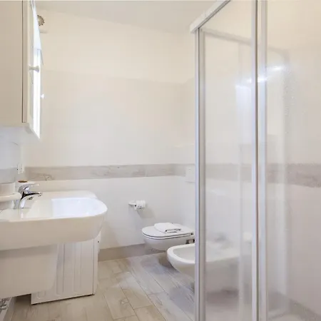 Rosa Cinderella * لاتيزي