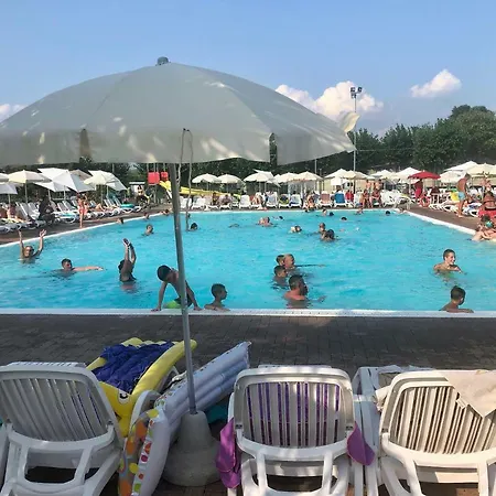 Rosa Cinderella لاتيزي