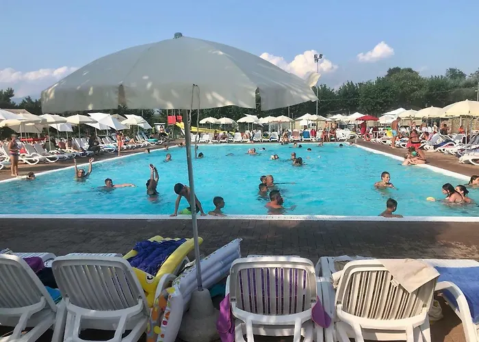 Rosa Cinderella Lazise